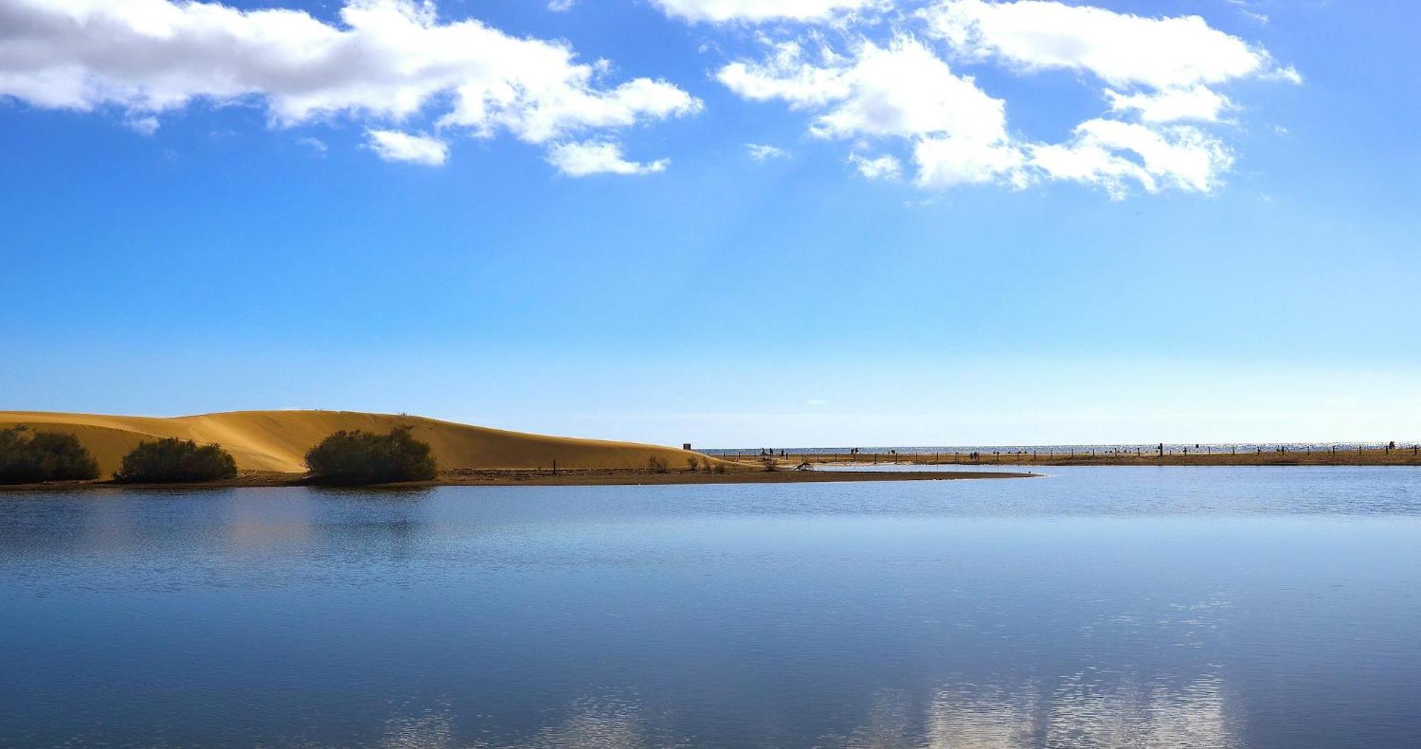 Dunaoasis Maspalomas Μασπαλόμας Εξωτερικό φωτογραφία
